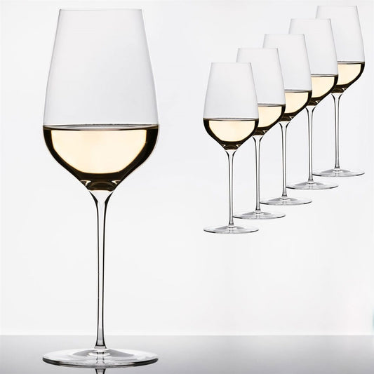 Empreinte Red, White & Champagne Wine Glass - Set of 6